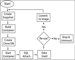 SQL and Clones Image 3 300 x 270